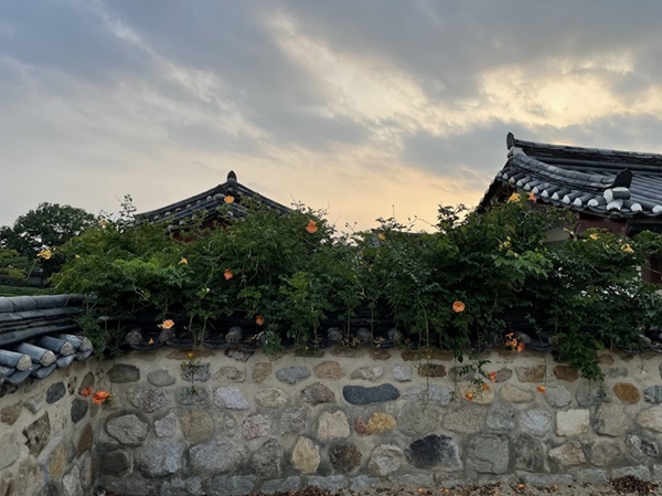 A Korean Girl Explains Hanok with Korean Walls